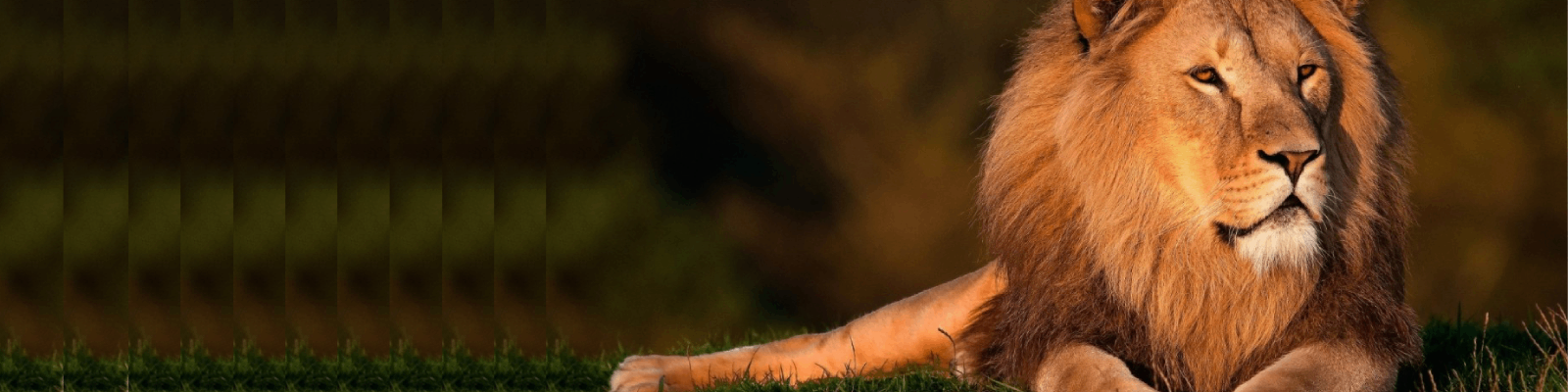 Go Green Today, Save The World Tomorrow